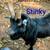 Goat herd sellout-Nigerian Dwarf, 1 mini alpine 8 thumbnail