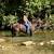 Gentle Trail/ Ranch gelding 4 thumbnail