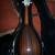 Washburn Mandolin-bowlback 3 thumbnail