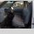 1999 FOR F250 SD 8FT UTILITY SERVICE TRUCK SUPER LOW MILES 6 thumbnail