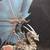 Painted Dragon Miniature Wyrmgear steampunk D&D RPG pathfinder reaper 2 thumbnail