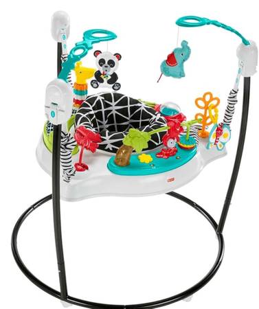 Fisher-Price Baby Bouncer Pink Petals Jumperoo Musical Activity Center 1