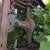Antique Truck Frame Parts for Sale 2 thumbnail