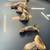 Crimmini, Chanterells, Enoki mushrooms 4 thumbnail