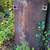 Used Fuel Oil Tanks 2 thumbnail