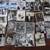 Rare photos. Early female aviator Jimmie Kolp, Big Band, Golf 1904-70 2 thumbnail