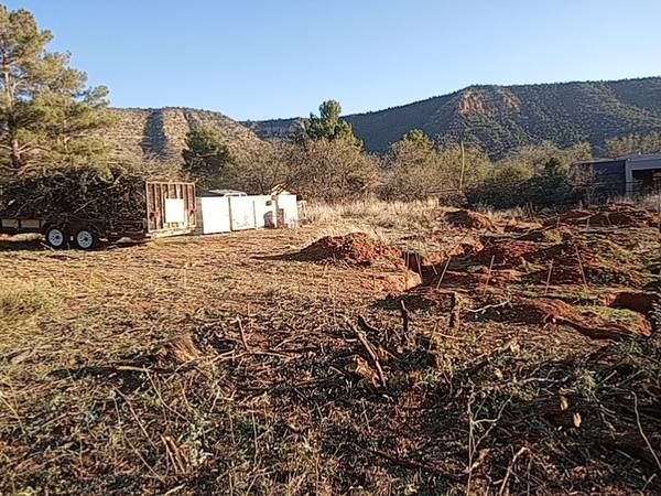 🌲TREE REMOVAL / TREE TRIMMING / STUMP GRINDING🌲 (SEDONA COTTONWOOD CAMP VERDE CORNVILLE CLARKDALE RIMROCK)62902684519554124