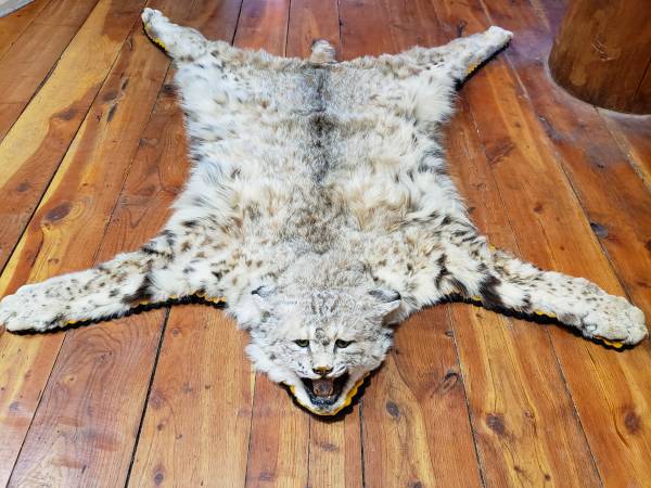 Bobcat rug 1