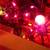 HALLOWEEN Spider Light Decoration Decor Animation Vintage New Lights 6 thumbnail