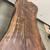 Walnut live edge slab desk 10 thumbnail