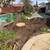 Emergency Tree Remove &TREE SERVICE 2 thumbnail