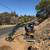 Skid Steer Loader, Tractor, Excavator, Dump Trailer 4 thumbnail