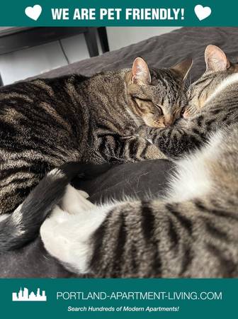 $1,395 / 1br - Room to Roam @ Halsey 28! Pets Love It Here! (NE Portland, Sullivan's Gulch, Grant Park)63867270498689120
