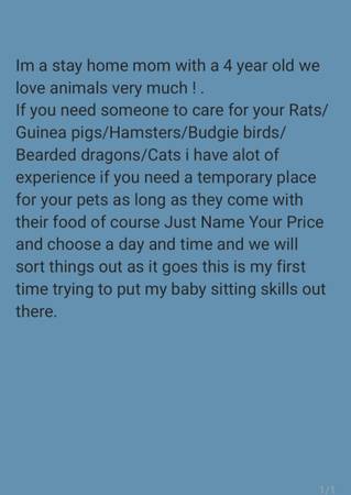 Stay home pet sitter (Aurora)63963640397698120