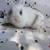 Holland lop/Mini lop for sale 1 thumbnail