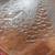 1980's Vintage Libbey Holiday 13" Glass Platter NIB 4 thumbnail