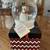 Christmas Ornaments/crafting, “Let it Snow 2019” Snow Globe with Box 8 thumbnail