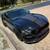 2016 Ford Mustang Shelby GT350  3 thumbnail