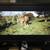 DELL E248WFPB 16:10 monitor 2 thumbnail