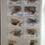 Tree Olympics Fiji Dinosaur Butterfly Stamps 9 thumbnail