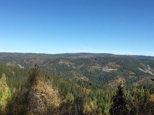 $199,000 Reduced Panoramic Views 107 Acres with Mineral, Timber  and Water (Nevada City)63952104499971120