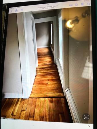$3,200 / 1br - 850ft2 - Cambridge en Watson cerca de MIT/Harvard, amplio de 2 habitaciones, estudio, patio, se admiten gatos (Cambridge cerca de la línea roja, #1 autobús en Central)63811886894977122