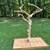 Large Natural Wood Bird Perch Tree 1 thumbnail