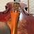 15” viola 5 thumbnail