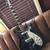 Guyatone SG-42T 1 thumbnail