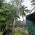 🌴HERNANDEZ TREE SERVICE&LANDSCAPING🍀 6 thumbnail