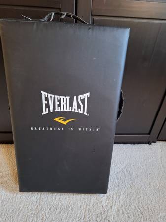 Everlast punching strike shield bag 1