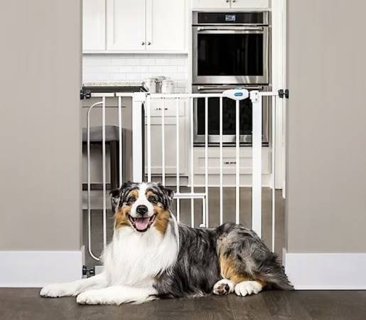 Carson baby gate with extension and small pet door 1