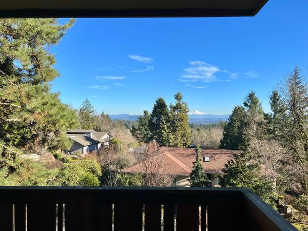 Never Pay for Parking Here! 1