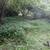 calmoperez yard work landscape service 11 thumbnail