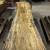 Sycamore Lumber Live Edge Slabs 2 thumbnail