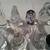 19 GLASS ANIMAL FIGURINE COLLECTION 3 thumbnail