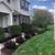 Landscaping- Best quality and prices in town 8 thumbnail