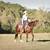 Chasing Daydreams, AQHA/APHA gentle & easy young trail gelding 8 thumbnail