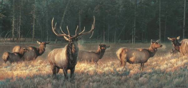 Morning Magic by Nancy Glazier 1