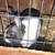 Rehoming pet rabbits 5 thumbnail