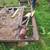 Submersible pump 1 thumbnail