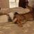 Rabbit cage for Sale 9 thumbnail