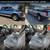 2023 FORD F-250 F250 F 250 STX 4X4 6.8L POWERTRAIN WARRANTY 1-OWNER 13 thumbnail