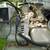 ONAN MARINE GEN SET 9000 EXCELLENT CONDITION LOW HOURS 4 thumbnail