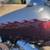 2004 FXSTD Softail Deuce 14 thumbnail