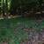 Two Acres- Prime Real Estate Property with Ranch style house 2 thumbnail