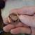 Vintage Field and Stream Bird Badge & Honor Badge 1 thumbnail
