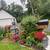 Duplex 3beds 1 bath 1 thumbnail