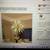 Starburst Pendant Firework Rainbow Sphere Chandelier for Living Room w 1 thumbnail