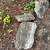 Landscape Rocks 2 thumbnail